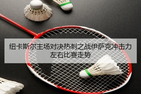 纽卡斯尔主场对决热刺之战伊萨克冲击力左右比赛走势